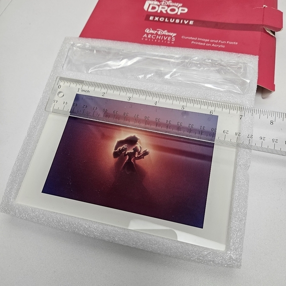 Beauty and the beast artwork acrylic frame - Picture 4 of 8